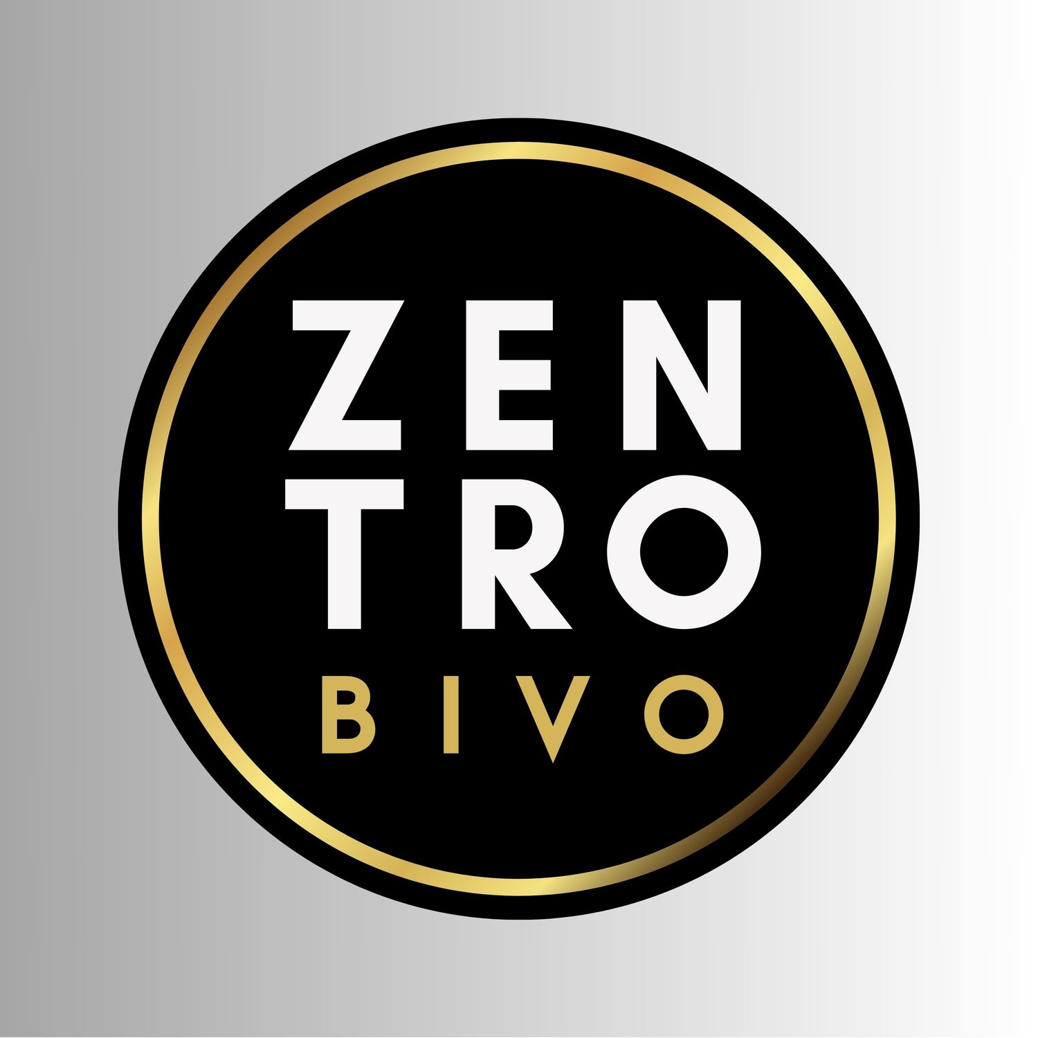 <span style="font-weight: bold;">Zentro BIVO</span> | Centro de Transfomración